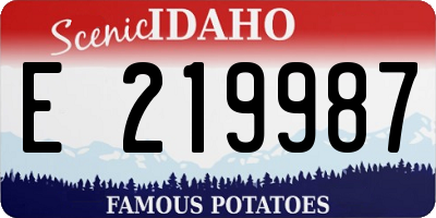 ID license plate E219987