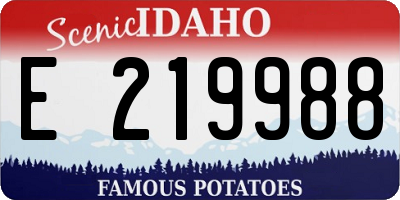 ID license plate E219988