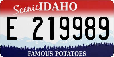 ID license plate E219989