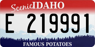ID license plate E219991
