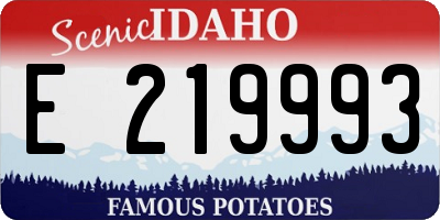 ID license plate E219993