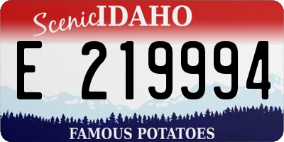 ID license plate E219994