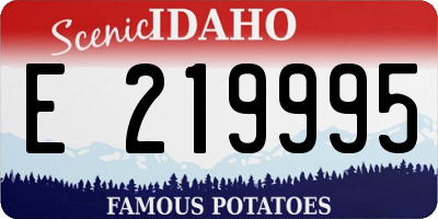ID license plate E219995