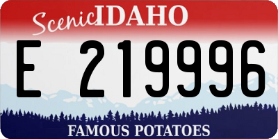 ID license plate E219996