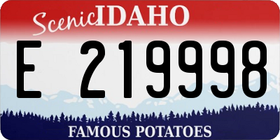 ID license plate E219998