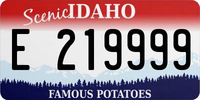 ID license plate E219999
