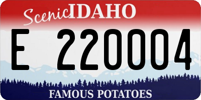 ID license plate E220004