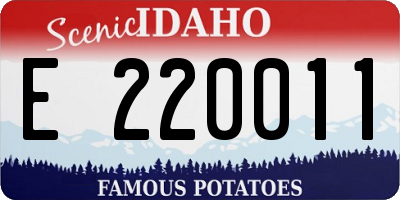 ID license plate E220011
