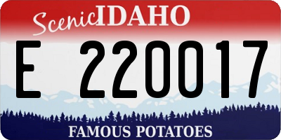 ID license plate E220017