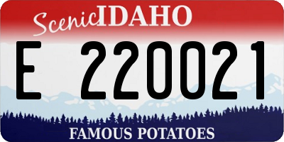 ID license plate E220021