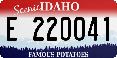 ID license plate E220041
