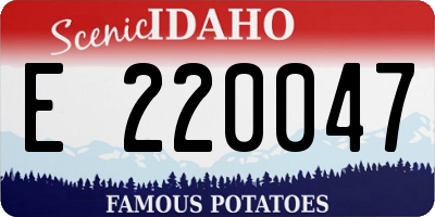 ID license plate E220047