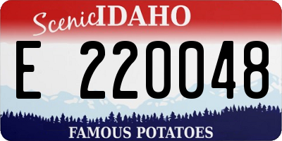 ID license plate E220048