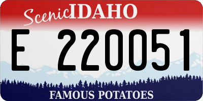 ID license plate E220051