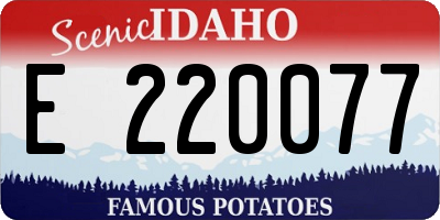 ID license plate E220077