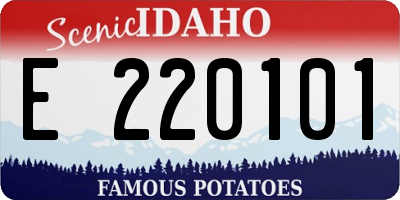 ID license plate E220101