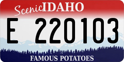 ID license plate E220103