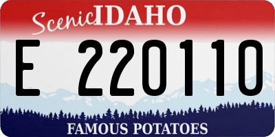 ID license plate E220110