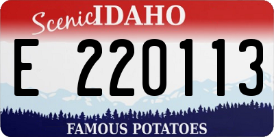 ID license plate E220113
