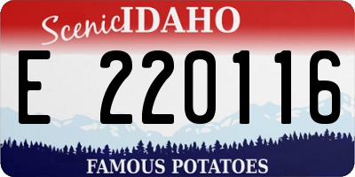 ID license plate E220116