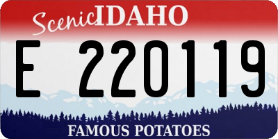 ID license plate E220119
