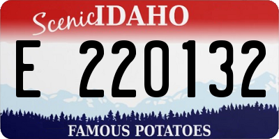 ID license plate E220132