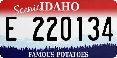 ID license plate E220134