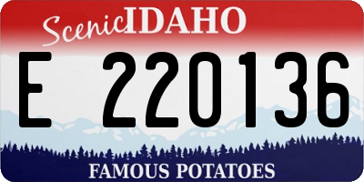 ID license plate E220136