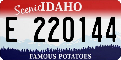 ID license plate E220144