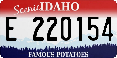 ID license plate E220154