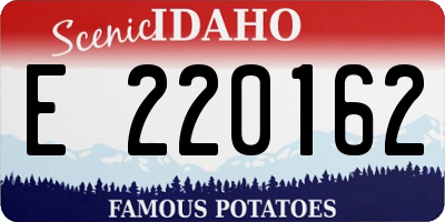 ID license plate E220162
