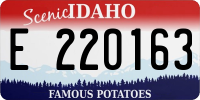 ID license plate E220163