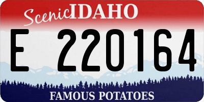 ID license plate E220164