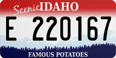 ID license plate E220167