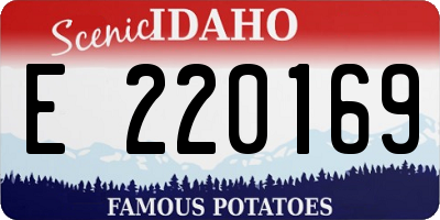 ID license plate E220169