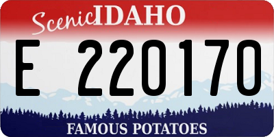 ID license plate E220170