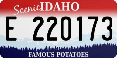 ID license plate E220173