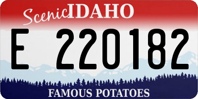 ID license plate E220182