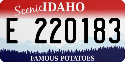 ID license plate E220183
