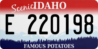 ID license plate E220198