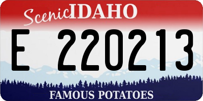 ID license plate E220213