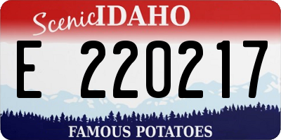 ID license plate E220217