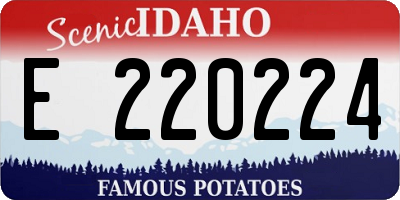 ID license plate E220224