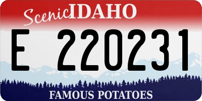 ID license plate E220231