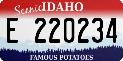 ID license plate E220234