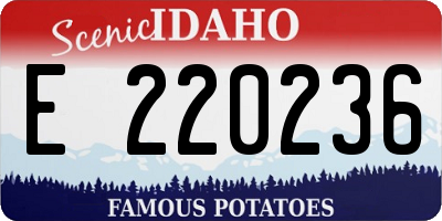 ID license plate E220236