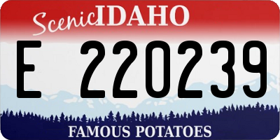 ID license plate E220239