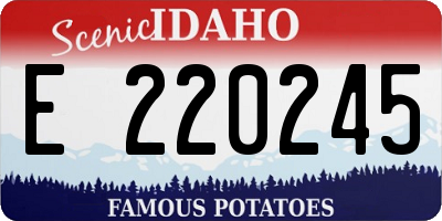 ID license plate E220245