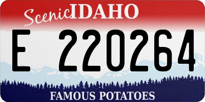 ID license plate E220264