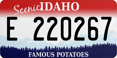 ID license plate E220267
